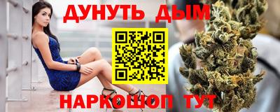 сатива Будённовск