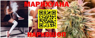сатива Будённовск