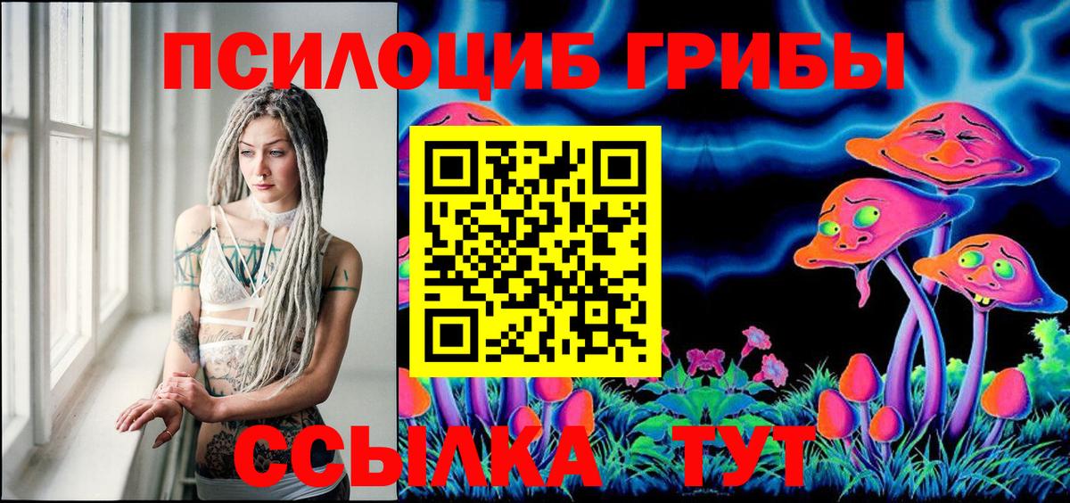 Галлюциногенные грибы Cubensis  Вход с VPN  Углич 