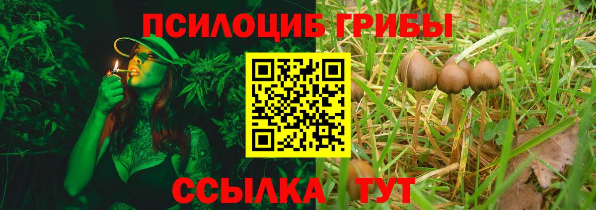 Галлюциногенные грибы Magic Shrooms Углич